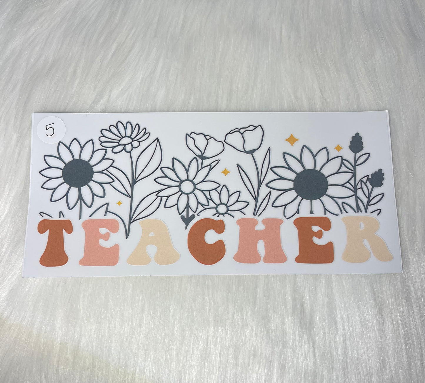 Teacher 5