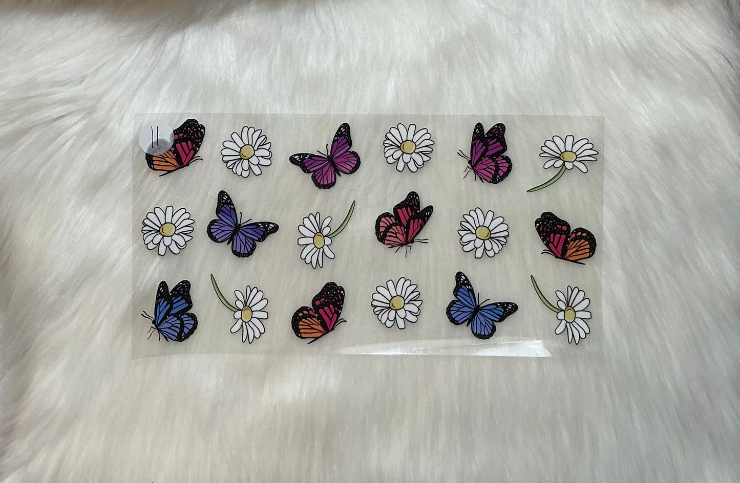 Butterfly 11