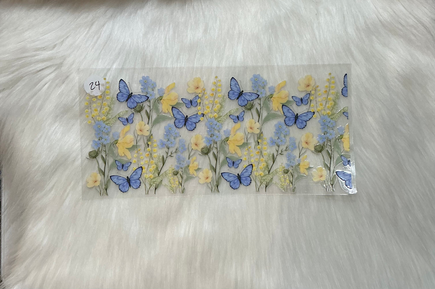 Butterfly 24