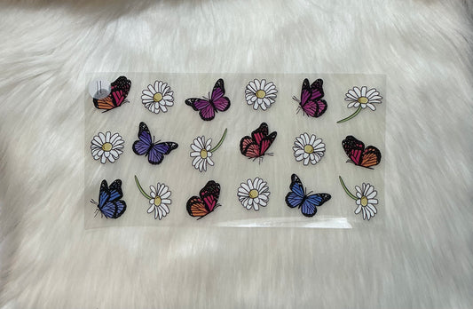 Butterfly 11