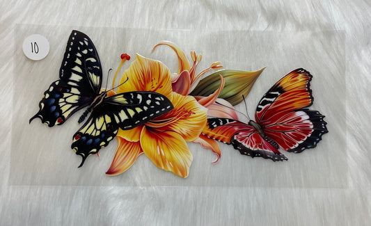 Butterfly 10